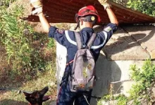 صورة جيجل: البحث عن تسعيني مفقود بغابة يعاني من الزهايمر