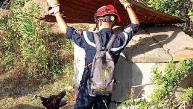 صورة جيجل: البحث عن تسعيني مفقود بغابة يعاني من الزهايمر